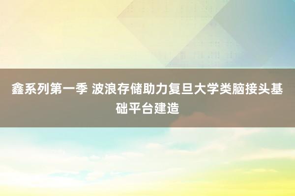 鑫系列第一季 波浪存储助力复旦大学类脑接头基础平台建造