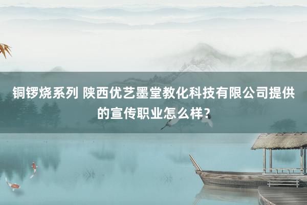 铜锣烧系列 陕西优艺墨堂教化科技有限公司提供的宣传职业怎么样？