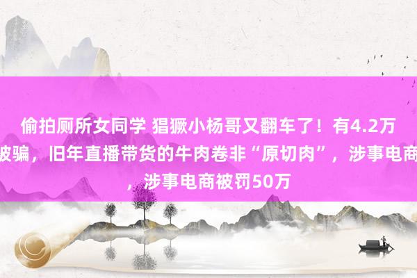 偷拍厕所女同学 猖獗小杨哥又翻车了！有4.2万名消耗者被骗，旧年直播带货的牛肉卷非“原切肉”，涉事电商被罚50万