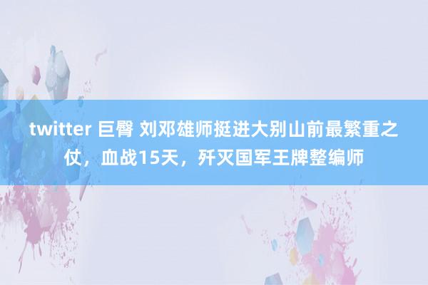 twitter 巨臀 刘邓雄师挺进大别山前最繁重之仗，血战15天，歼灭国军王牌整编师