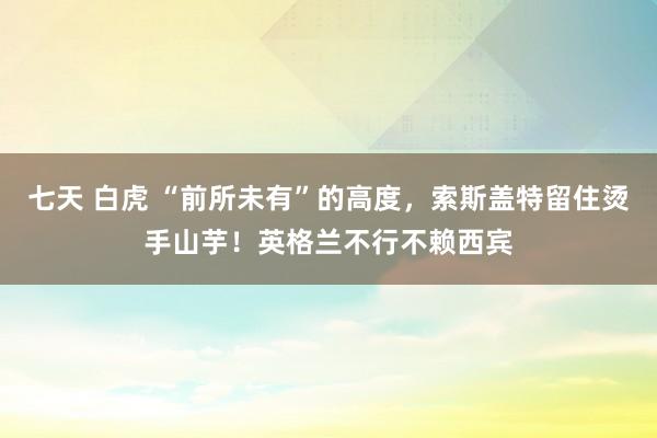 七天 白虎 “前所未有”的高度，索斯盖特留住烫手山芋！英格兰不行不赖西宾