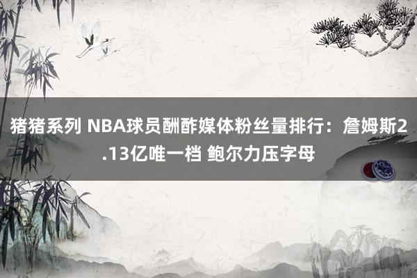 猪猪系列 NBA球员酬酢媒体粉丝量排行：詹姆斯2.13亿唯一档 鲍尔力压字母