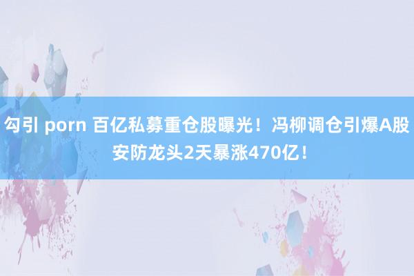 勾引 porn 百亿私募重仓股曝光！冯柳调仓引爆A股 安防龙头2天暴涨470亿！