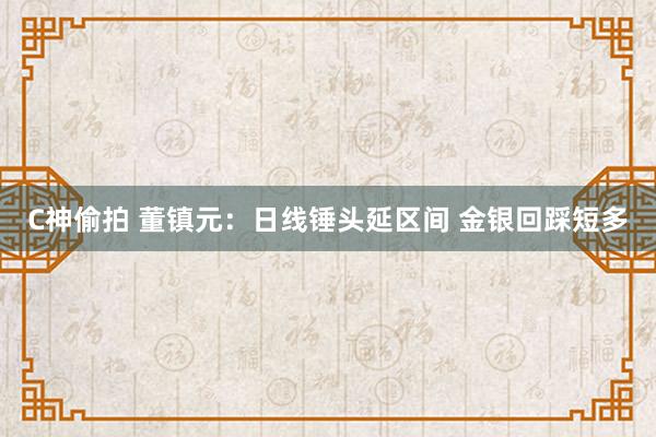 C神偷拍 董镇元：日线锤头延区间 金银回踩短多