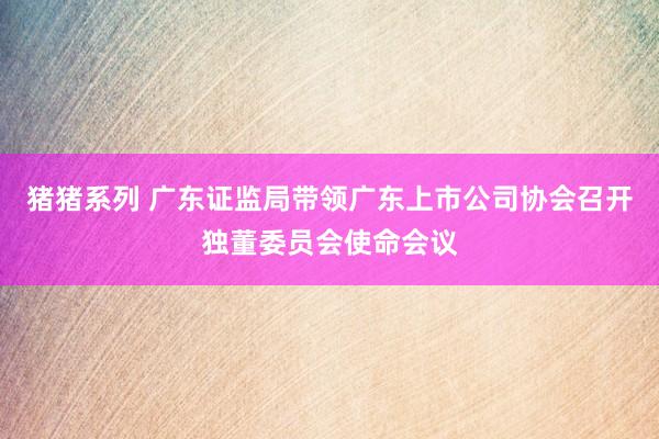 猪猪系列 广东证监局带领广东上市公司协会召开独董委员会使命会议