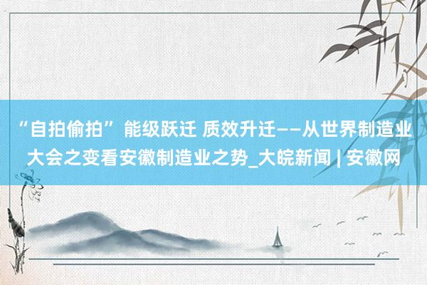 “自拍偷拍” 能级跃迁 质效升迁——从世界制造业大会之变看安徽制造业之势_大皖新闻 | 安徽网