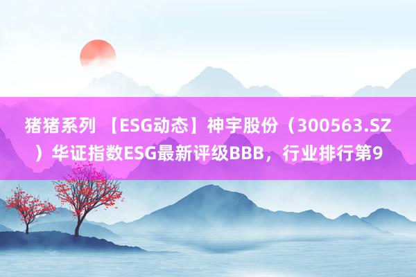 猪猪系列 【ESG动态】神宇股份（300563.SZ）华证指数ESG最新评级BBB，行业排行第9