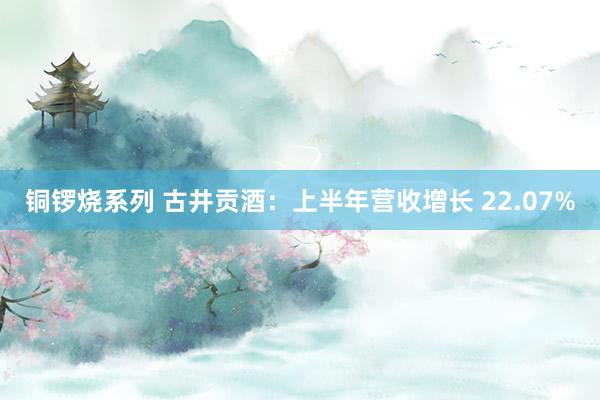 铜锣烧系列 古井贡酒：上半年营收增长 22.07%