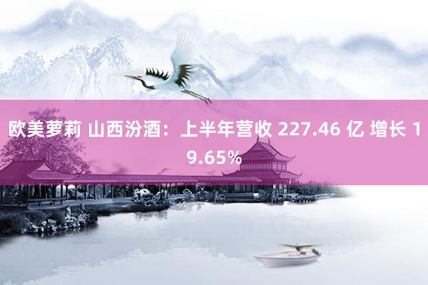 欧美萝莉 山西汾酒：上半年营收 227.46 亿 增长 19.65%