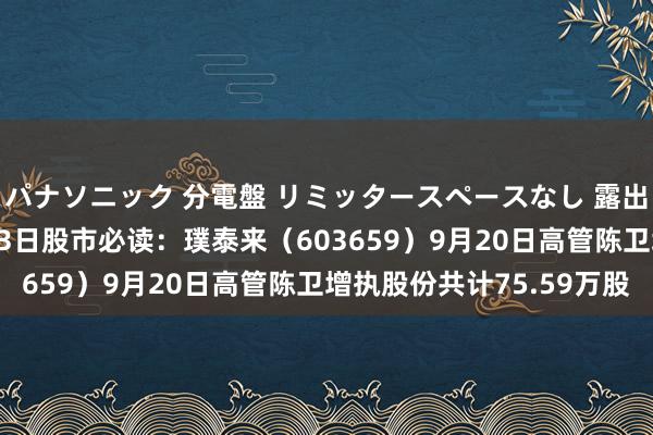 パナソニック 分電盤 リミッタースペースなし 露出・半埋込両用形 9月23日股市必读：璞泰来（603659）9月20日高管陈卫增执股份共计75.59万股