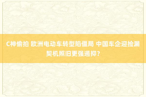 C神偷拍 欧洲电动车转型陷僵局 中国车企迎捡漏契机照旧更强遏抑？