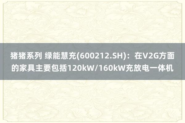 猪猪系列 绿能慧充(600212.SH)：在V2G方面的家具主要包括120kW/160kW充放电一体机