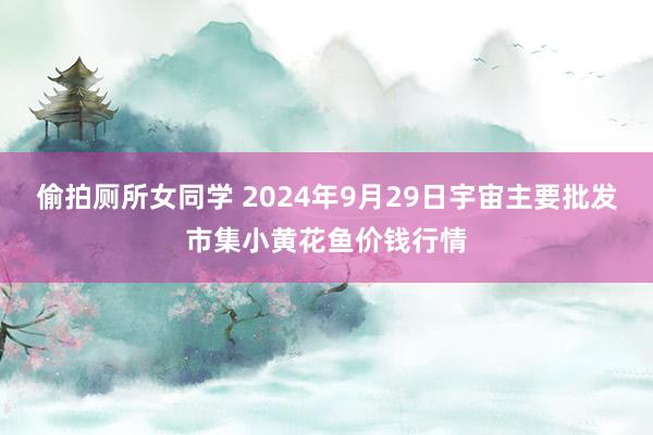 偷拍厕所女同学 2024年9月29日宇宙主要批发市集小黄花鱼价钱行情