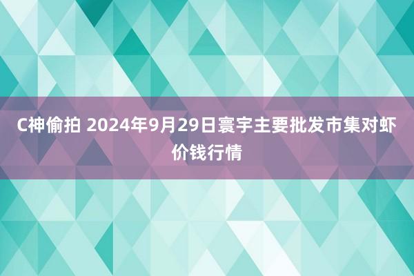 C神偷拍 2024年9月29日寰宇主要批发市集对虾价钱行情