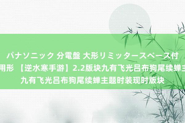 パナソニック 分電盤 大形リミッタースペース付 露出・半埋込両用形 【逆水寒手游】2.2版块九有飞光吕布狗尾续蝉主题时装现时版块