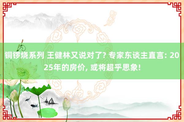 铜锣烧系列 王健林又说对了? 专家东谈主直言: 2025年的房价， 或将超乎思象!