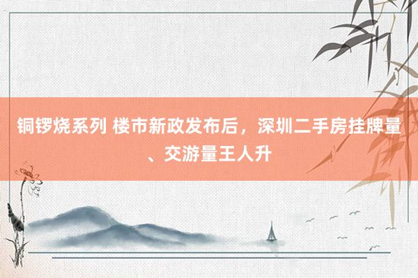 铜锣烧系列 楼市新政发布后，深圳二手房挂牌量、交游量王人升