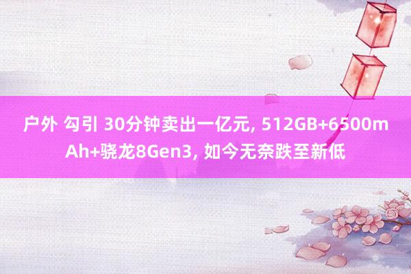 户外 勾引 30分钟卖出一亿元， 512GB+6500mAh+骁龙8Gen3， 如今无奈跌至新低