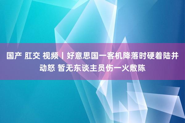 国产 肛交 视频丨好意思国一客机降落时硬着陆并动怒 暂无东谈主员伤一火敷陈