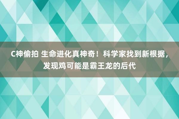 C神偷拍 生命进化真神奇！科学家找到新根据，发现鸡可能是霸王龙的后代