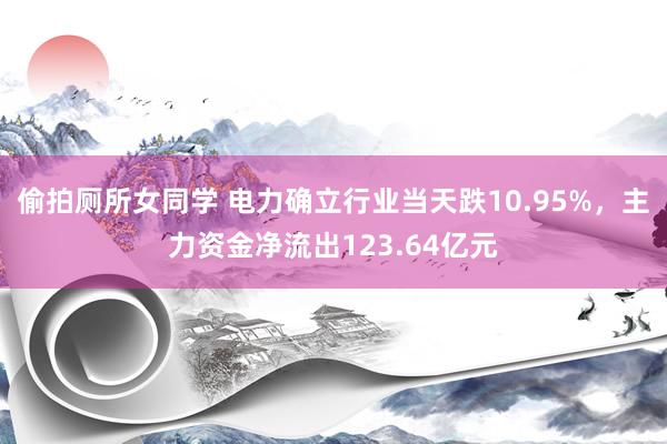 偷拍厕所女同学 电力确立行业当天跌10.95%，主力资金净流出123.64亿元