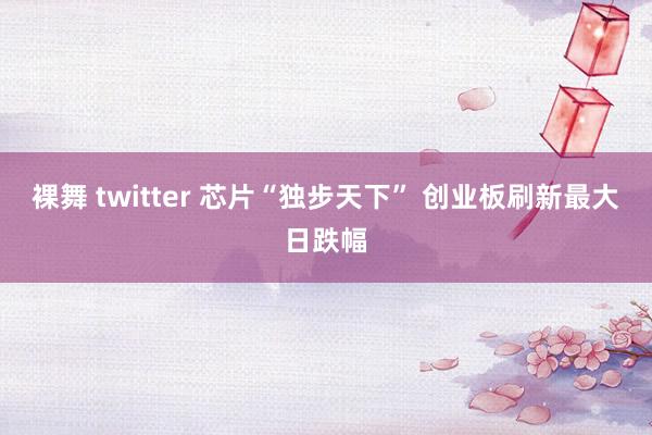 裸舞 twitter 芯片“独步天下” 创业板刷新最大日跌幅