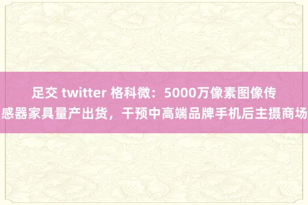 足交 twitter 格科微：5000万像素图像传感器家具量产出货，干预中高端品牌手机后主摄商场