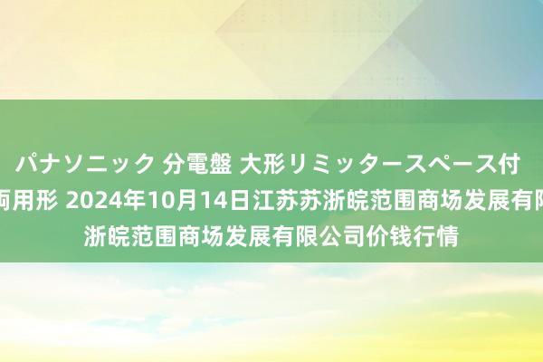 パナソニック 分電盤 大形リミッタースペース付 露出・半埋込両用形 2024年10月14日江苏苏浙皖范围商场发展有限公司价钱行情