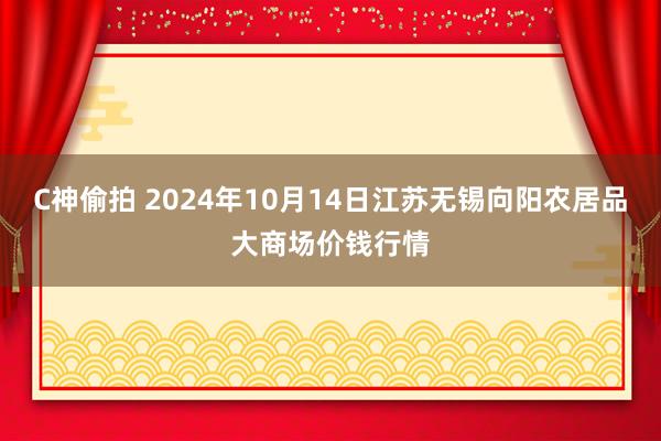 C神偷拍 2024年10月14日江苏无锡向阳农居品大商场价钱行情