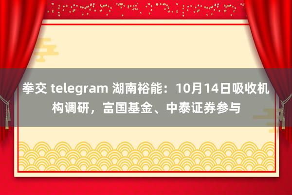 拳交 telegram 湖南裕能：10月14日吸收机构调研，富国基金、中泰证券参与