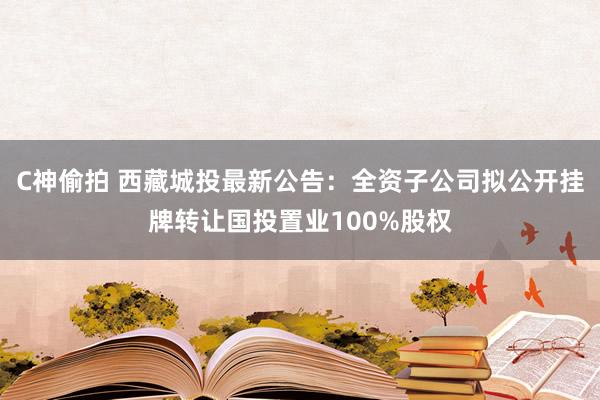 C神偷拍 西藏城投最新公告：全资子公司拟公开挂牌转让国投置业100%股权