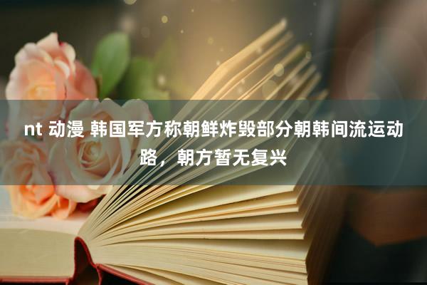 nt 动漫 韩国军方称朝鲜炸毁部分朝韩间流运动路，朝方暂无复兴