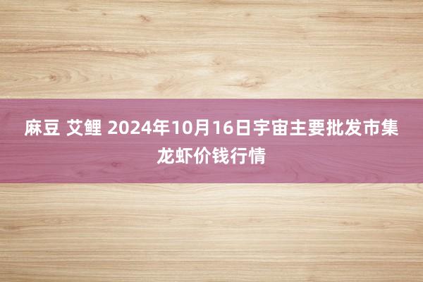 麻豆 艾鲤 2024年10月16日宇宙主要批发市集龙虾价钱行情