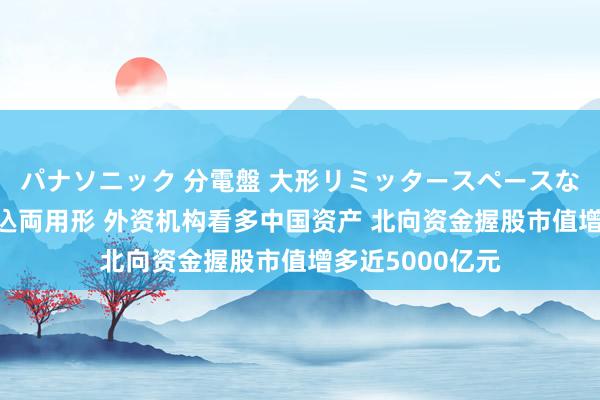 パナソニック 分電盤 大形リミッタースペースなし 露出・半埋込両用形 外资机构看多中国资产 北向资金握股市值增多近5000亿元