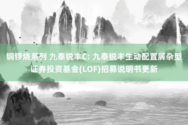 铜锣烧系列 九泰锐丰C: 九泰锐丰生动配置羼杂型证券投资基金(LOF)招募说明书更新