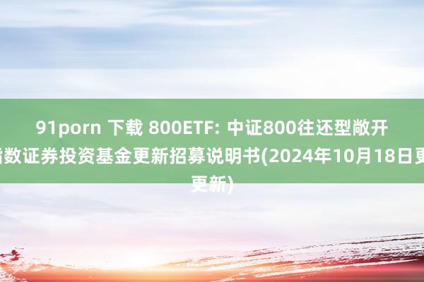 91porn 下载 800ETF: 中证800往还型敞开式指数证券投资基金更新招募说明书(2024年10月18日更新)