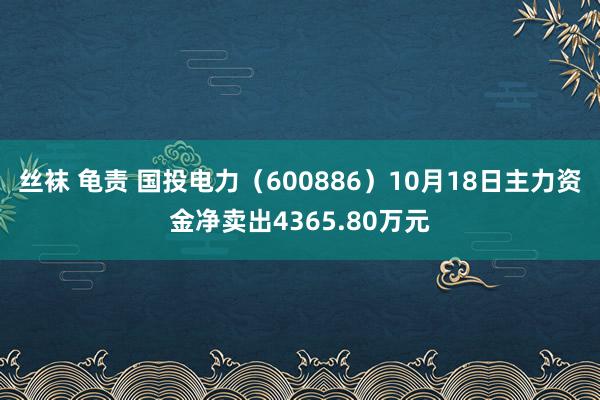 丝袜 龟责 国投电力（600886）10月18日主力资金净卖出4365.80万元