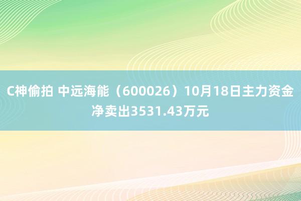 C神偷拍 中远海能（600026）10月18日主力资金净卖出3531.43万元