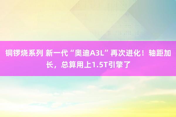 铜锣烧系列 新一代“奥迪A3L”再次进化！轴距加长，总算用上1.5T引擎了