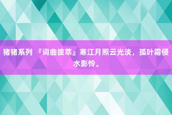 猪猪系列 『词曲拔萃』寒江月照云光淡，孤叶霜侵水影怜。