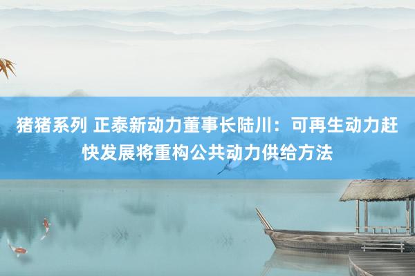 猪猪系列 正泰新动力董事长陆川：可再生动力赶快发展将重构公共动力供给方法