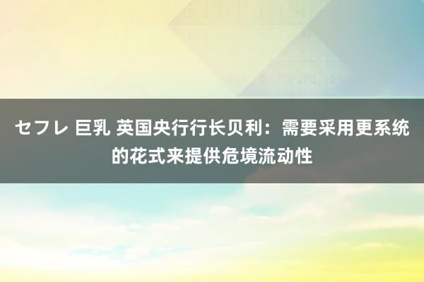 セフレ 巨乳 英国央行行长贝利：需要采用更系统的花式来提供危境流动性