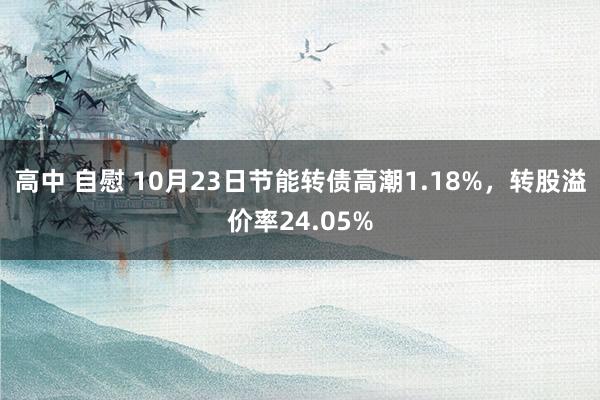 高中 自慰 10月23日节能转债高潮1.18%，转股溢价率24.05%