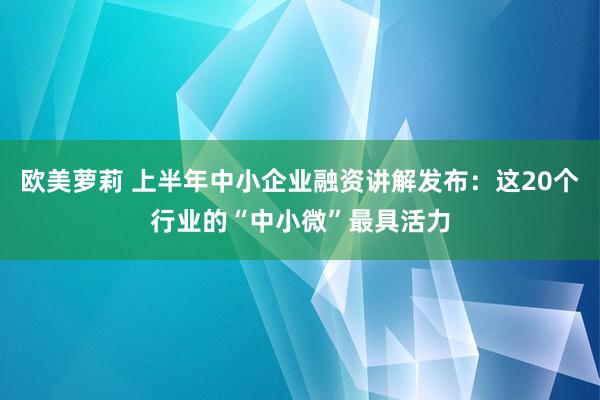 欧美萝莉 上半年中小企业融资讲解发布：这20个行业的“中小微”最具活力