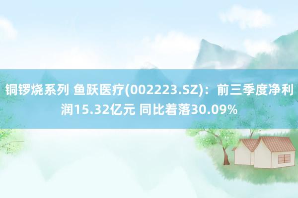 铜锣烧系列 鱼跃医疗(002223.SZ)：前三季度净利润15.32亿元 同比着落30.09%