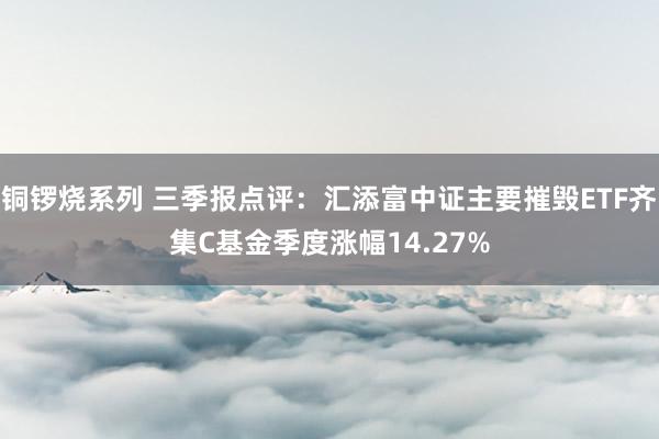 铜锣烧系列 三季报点评：汇添富中证主要摧毁ETF齐集C基金季度涨幅14.27%