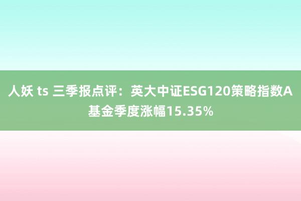 人妖 ts 三季报点评：英大中证ESG120策略指数A基金季度涨幅15.35%