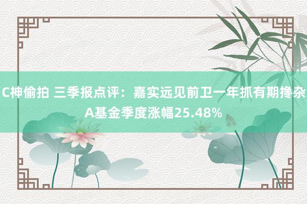 C神偷拍 三季报点评：嘉实远见前卫一年抓有期搀杂A基金季度涨幅25.48%