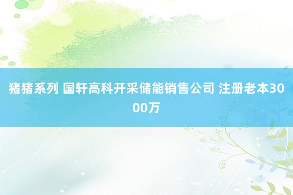 猪猪系列 国轩高科开采储能销售公司 注册老本3000万