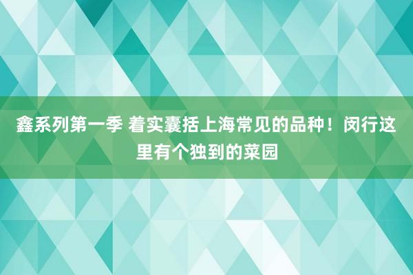 鑫系列第一季 着实囊括上海常见的品种！闵行这里有个独到的菜园